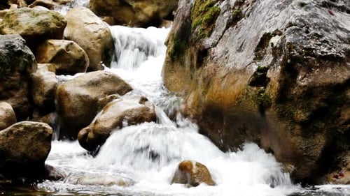 Little Waterfalls in a Peaceful Wood