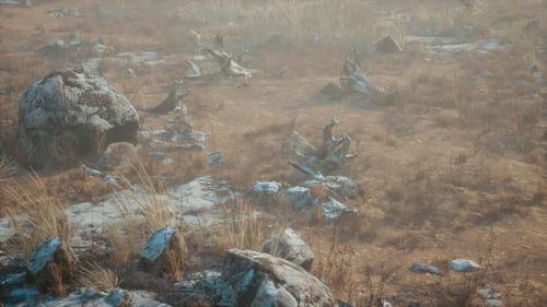 Arid Rocky Plain with Dry Grass and Dead Trees