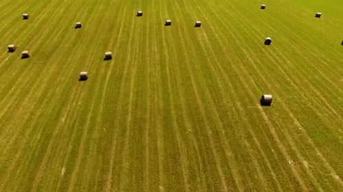 Feld mit Heuhaufen in der ländlichen Landschaft, Ansicht von oben