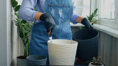 Woman potting plant indoors