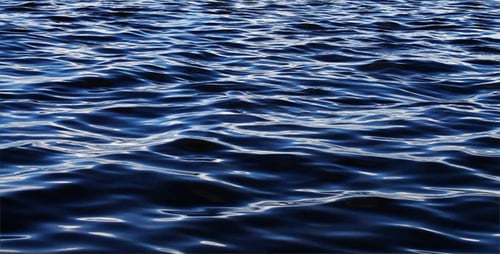 The Sea