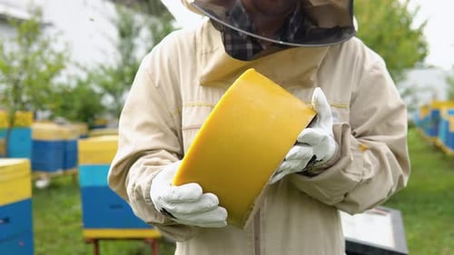 Closeup Portrait of Beekeeper Holding a Bee Wax