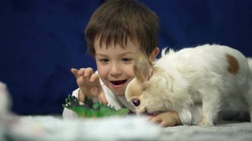 Young Boy Playing With Toy and Dog Indoors