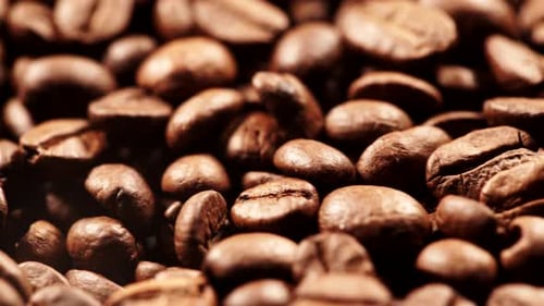 Close Up of Roasted Coffee Beans