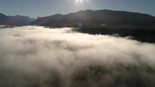 Epic Landscape Aerial Over Lowland Fog With Tree And Mountain Silhouette