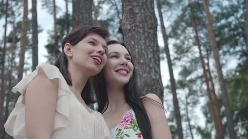 Portrait Two Cute Young Women Wear Dresses Standing Against the Background of a Pine Forest
