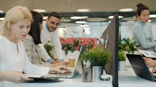 Slow Motion of Multi-ethnic Team Working in Open Space Office Talking Using Computers