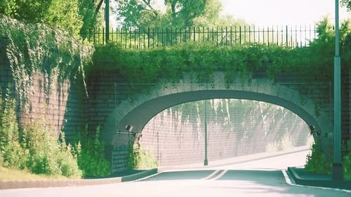 Bogenbrücke mit lebenden Buschzweigen im Park