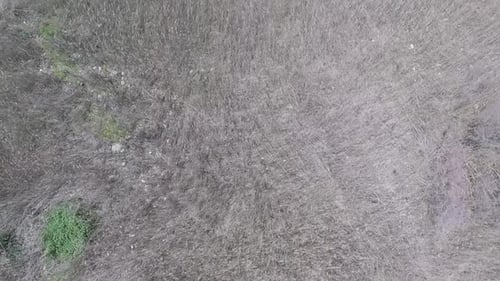 Aerial View of Dry Grassland Next to River