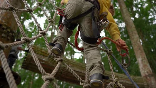 Little Boy in a Safety Harness Climbs on a Route in Treetops in a Forest Adventure Park. He Climbs