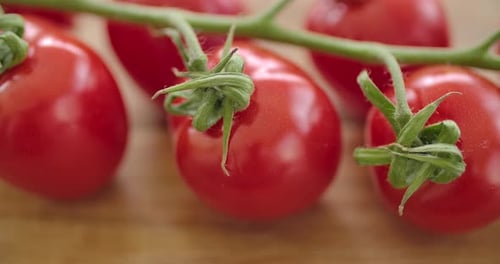 Frische und gesunde Tomaten