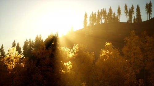 Coucher de soleil lumineux dans les montagnes avec la forêt