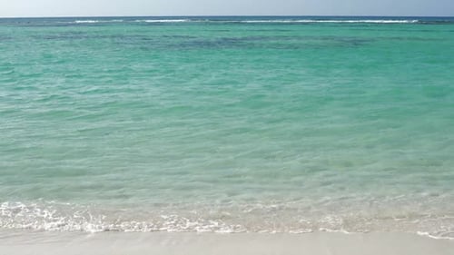 The Ocean