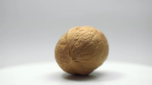Walnut rotating on a white background close-up. Looped rotation