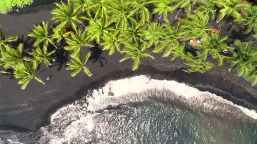Aerial view above of people sunbathing on black sand beach, Hawaii, U.S.A.