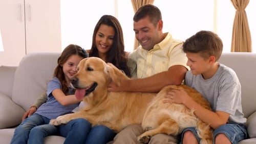 Happy Family Petting Dog on Couch Together