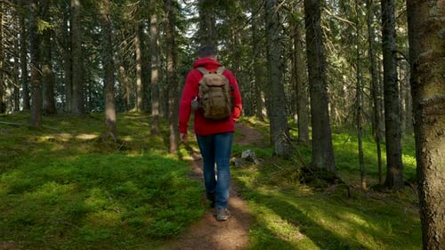 Tourist Guy with a Backpack Walks Along a Trail in a Beautiful Forest