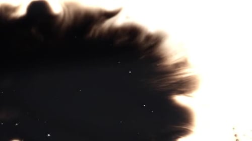 Abstract Black Ink Spreading Across White Background