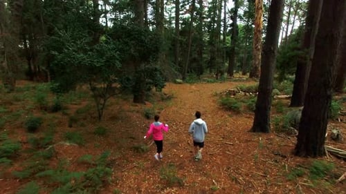 Couple jogging on forest path