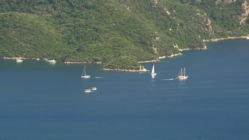 Forested Coastline at Strait on The Sea