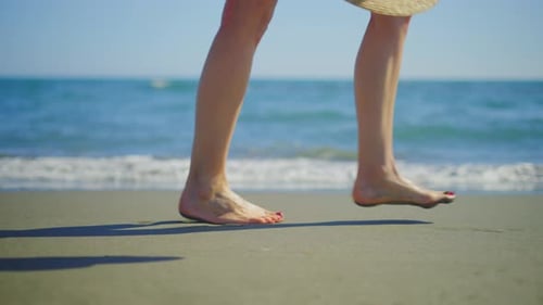 Female legs walking on sandy beach