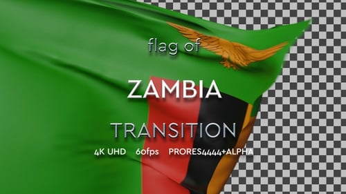 3D Waving Flag Transition Reveal