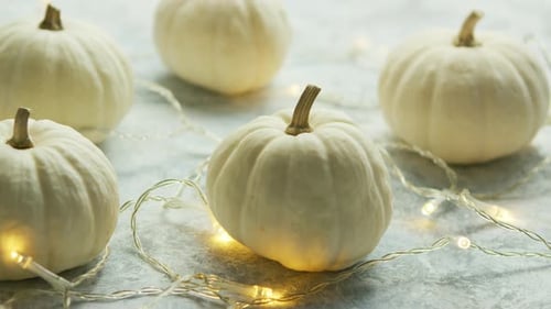 Festive White Pumpkins Decorated with Fairy Lights