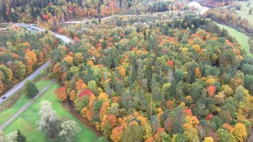 Aerial View of the Sigulda Bridge and Cable Car Over Gauja River During Golden Autumn Season Latvia