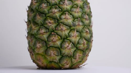 Pineapple 11