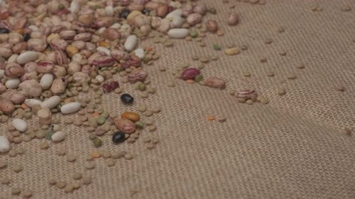 Dry legumes rotating on jute background. Beans healthy protein diet, Mediterranean vegan vegetarian