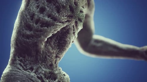 Abstract Biological Form Rotation with Textured Surface