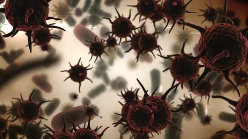 Virus and red blood cells
