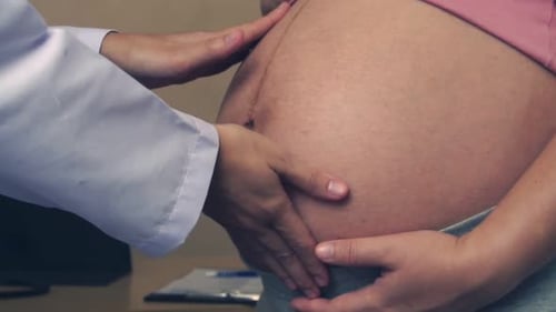 Pregnant Woman and Gynecologist Doctor at Hospital