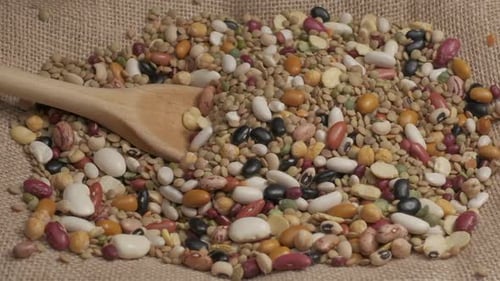 Colorful Beans and Lentils with Wooden Spoon