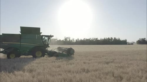 Combine Harvesting Wheat Top View of a Wheatfield
