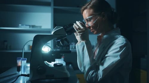 Scientist Works With Microscope in Laboratory