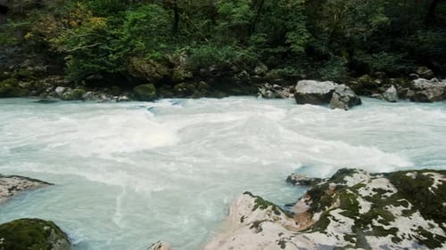 Wild Mountain River Close Up Abundant Clear Stream. Detail Static Shot of Babbling Creek with Stone