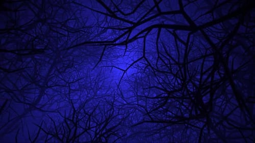 Voler dans les forêts de la mort 01 HD