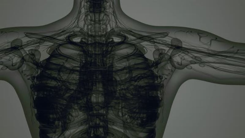 Human Body Scanning, Backgrounds Motion Graphics ft. anatomy & lungs ...