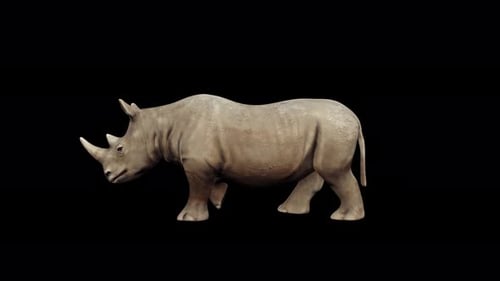 Realistic 3D Rhinoceros Walking Animation