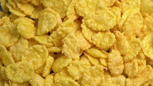 Crispy corn flakes rotating close up, dry healthy breakfast. Honey cornflakes for healthy cereal
