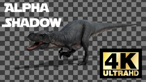 Dinosaur Tyrannosaurus Walk And Roar Loop With Alpha And Shadow