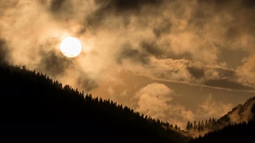 Mystischer Sonnenuntergang über dem dunklen Wald