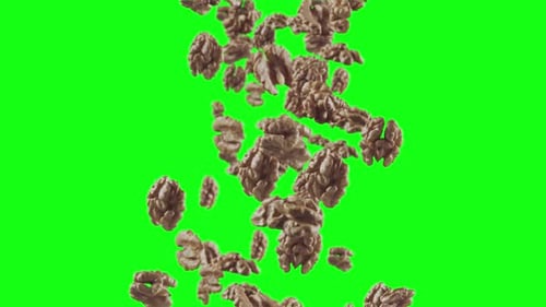 Falling of Walnuts in Green Screen Background