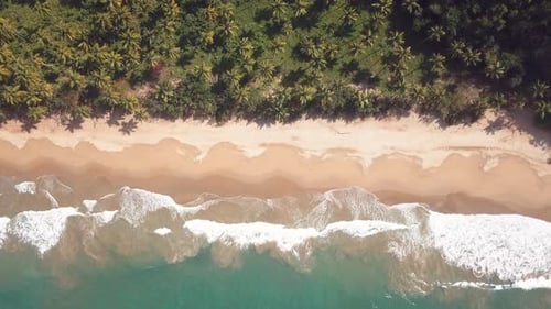 Cenital Drohnen-Shooting Von Ein Paradies Virgin Beach In Der Karibik Mit Wellen Und Palmen