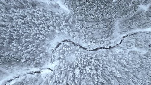 Flying High Above Dark River Bend Floating in Winter Forest