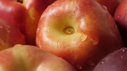Close-up of Fresh Nectarines with Water Droplets