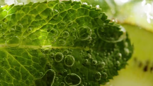 Macro limonada kiwi