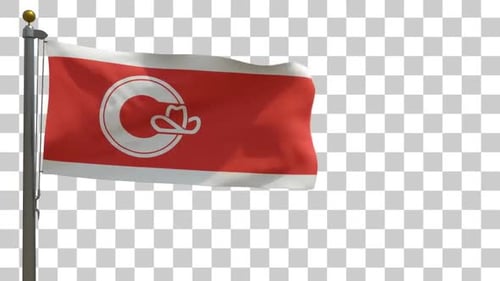 Calgary City Flag (Alberta) on Flagpole with Alpha Channel