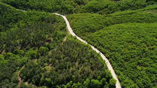 Vehicle Driving On Road In Forest